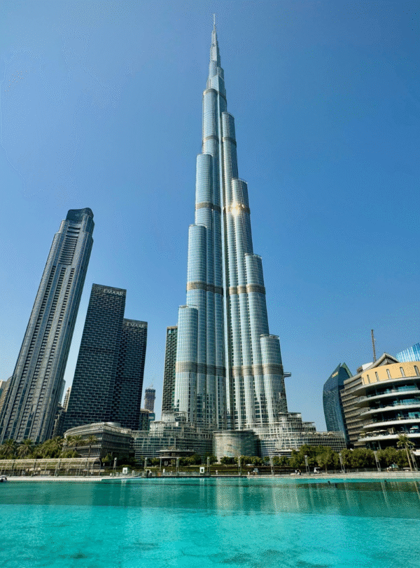 Copy of International